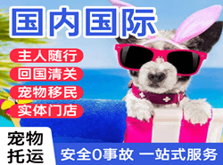 成都天府空运国际宠物托运 【国